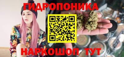 стафф Анжеро-Судженск